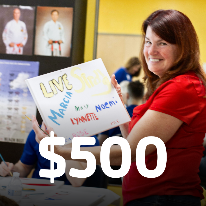 Impact Fund – Harrisburg Area YMCA annual campaign – Impact Fund