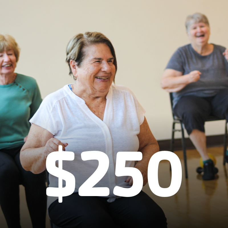 Impact Fund – Harrisburg Area YMCA annual campaign – Impact Fund