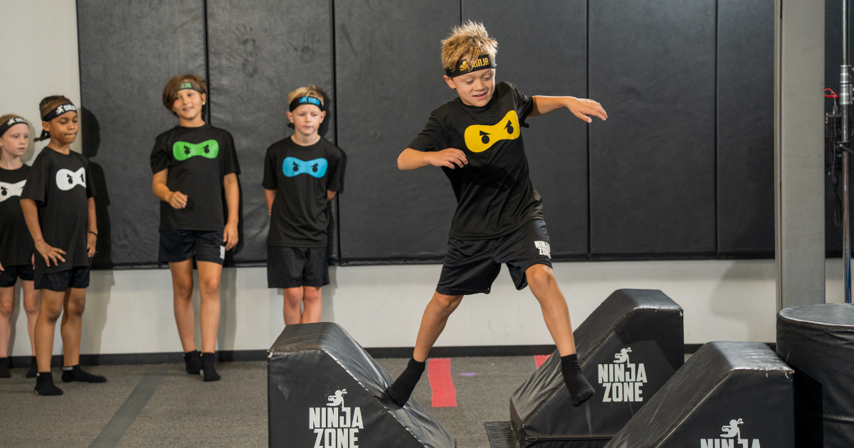 NinjaZone – NinjaZone