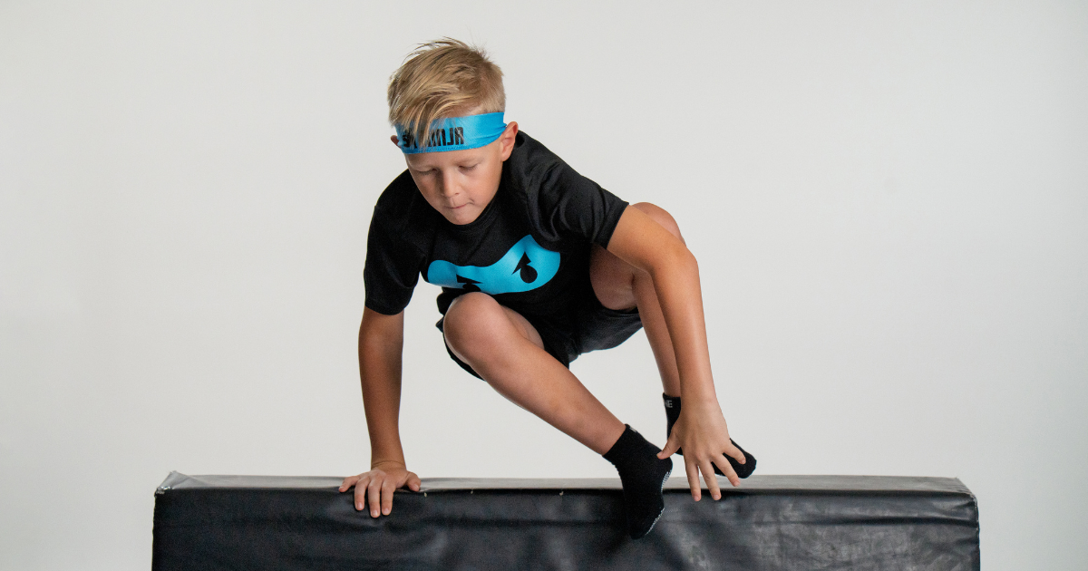 NinjaZone – NinjaZone